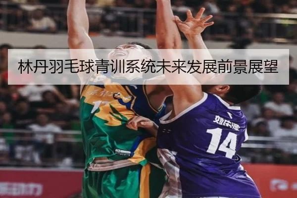 林丹羽毛球青训系统未来发展前景展望