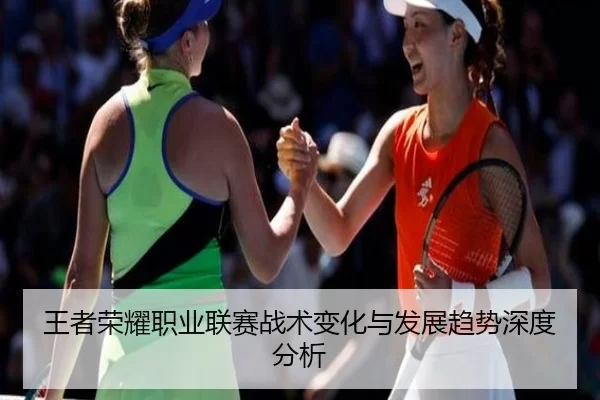 王者荣耀职业联赛战术变化与发展趋势深度分析