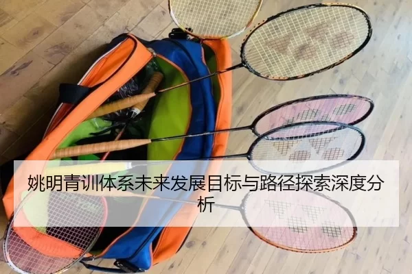姚明青训体系未来发展目标与路径探索深度分析