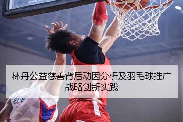 林丹公益慈善背后动因分析及羽毛球推广战略创新实践
