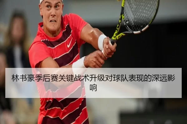 林书豪季后赛关键战术升级对球队表现的深远影响