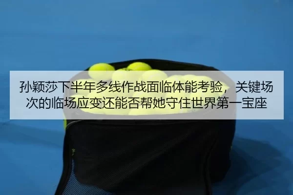 sun-ying-sha-xia-ban-nian-duo-xian-zuo-zhan-mian-lin-ti-neng-kao-yan-guan-jian-chang-ci-de-lin-chang-ying-bian-hai-neng-2-738.jpg
